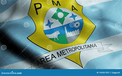 Ananindeua City Federative Republic Of Brazil Para State Map Vector