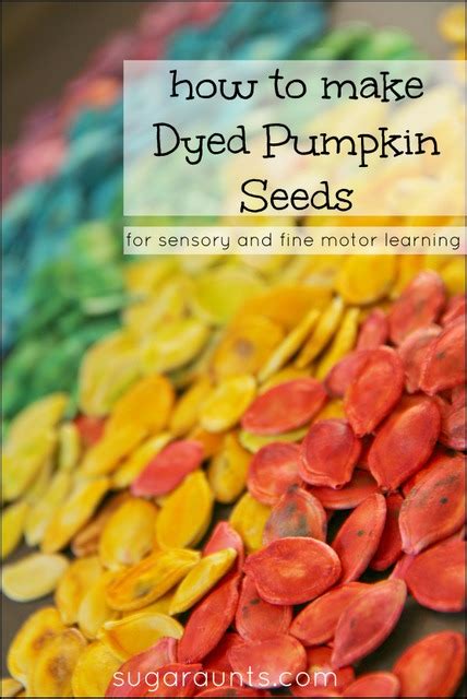 How To Dye Pumpkin Seeds For Sensory Play The OT Toolbox