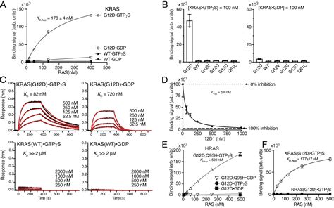 Exploring Switch Ii Pocket Conformation Of Krasg12d With Mutant