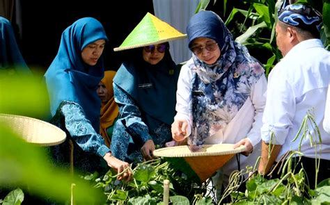 Pemkot Depok Kembangkan Pertanian Perkotaan Di Pasir Putih Monitor