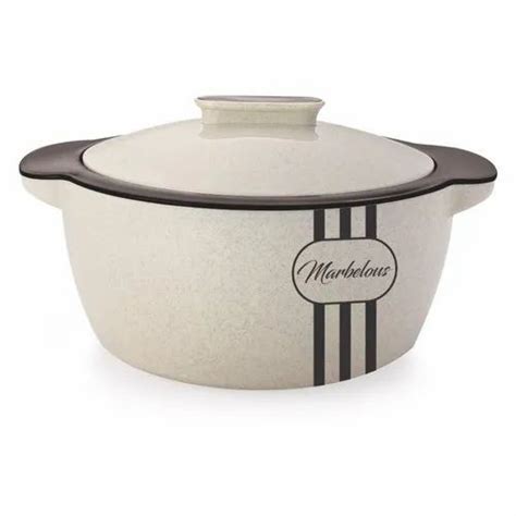 Plastic Hot Caserole At Rs 123 Piece Plastic Hot Pot In Kolkata ID 25496095033