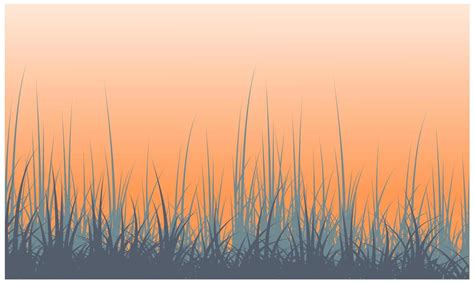 dead grass, dry grass, desert grass vector 6552259 Vector Art at Vecteezy