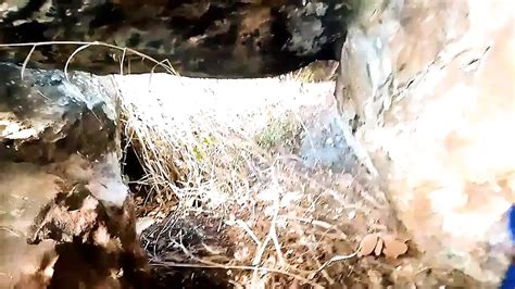 Balloon Porn Videos Xhamster