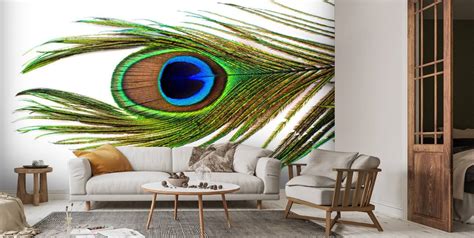 Peacock Feather Eye Wall Mural | Wallsauce US