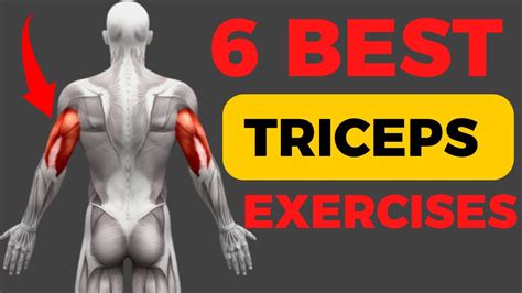 6 Best Triceps Exercises For Bigger Arms Youtube