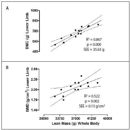 SciELO Brasil MUSCULAR STRENGTH AND REGIONAL LEAN MASS INFLUENCE BONE