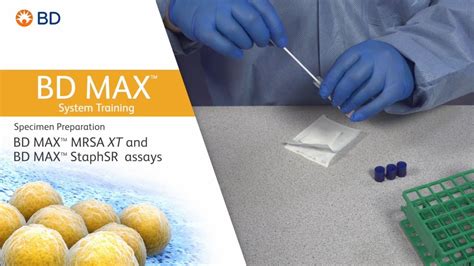 Bd Max Mrsa Xt And Bd Max Staphsr Assays Specimen Preparation Youtube