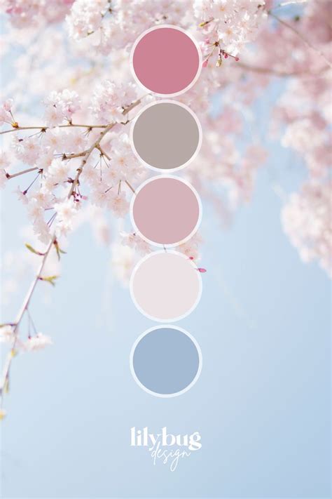 Sakura Cherry Blossom Colour Palette Color Palette Design Pastel