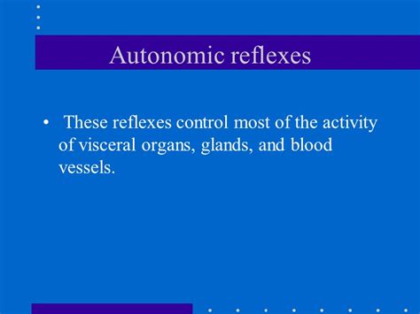 Chapter 14 Autonomic Nervous System The Autonomic Nervous