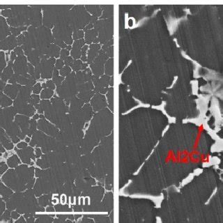 SEM Pictures Showing The Microstructure Of Al Cu Mg Alloy In A Low