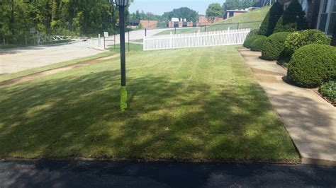 Zoysia Sod Installation