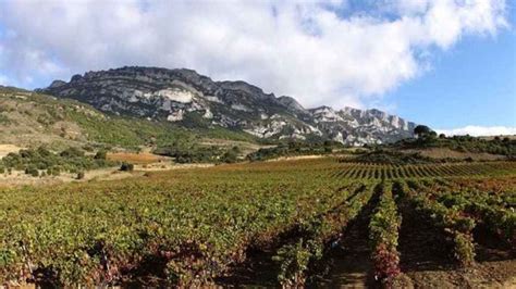 Pa S Vasco Aviva La Guerra Del Vino En Rioja Pide Que Planas Cambie La