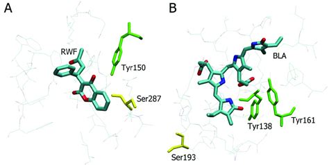 Sudlow Site I A And Site Iii B Of Human Serum Albumin Hsa With