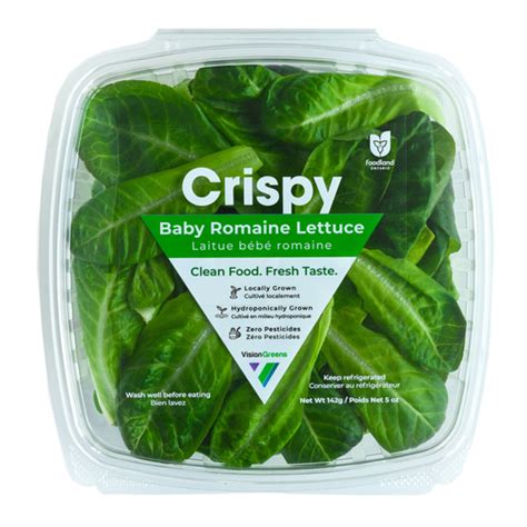 Crispy Baby Romaine Lettuce Vision Greens