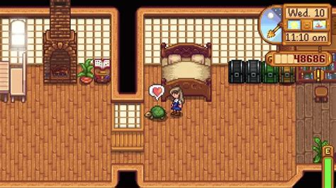 How To Get Turtle Pets In Stardew Valley Siliconera