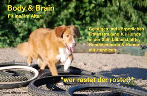 Body Brain Verhaltensmedizin Bei Hund Und Katzeverhaltensmedizin