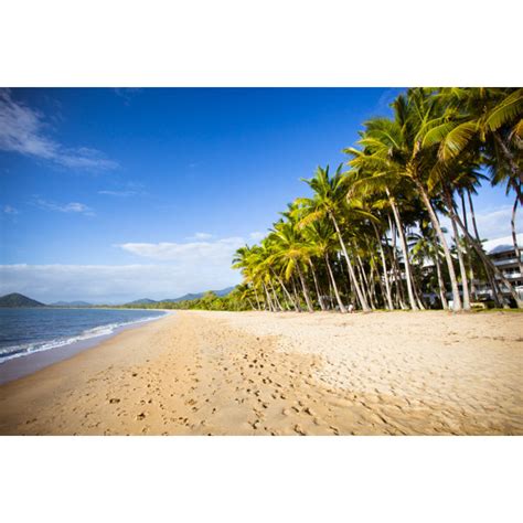 House Of Hampton Leinwandbild Palm Cove Beachfront Wayfair De