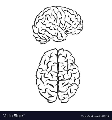 Brain Silhouette Outline Royalty Free Vector Image