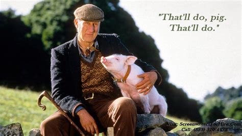 That'll do pig (CZ455) 100 yards | Rimfire Central Firearm Forum 