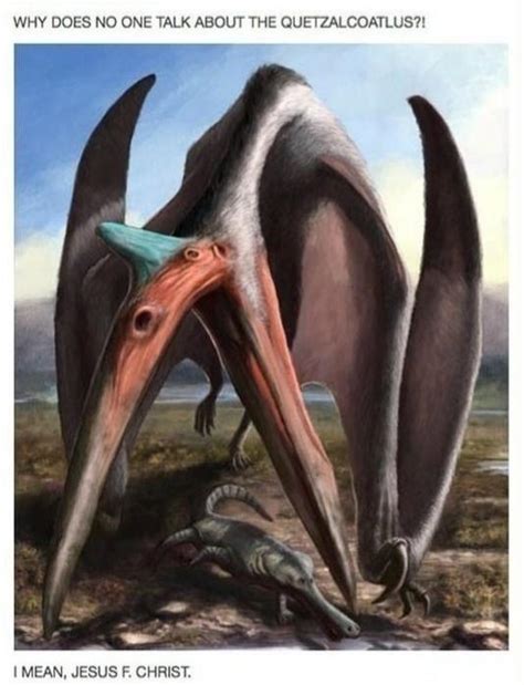 Im Da Biggest Bird Mesozoic Edition Rprehistoricmemes