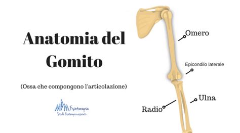 Gomito Del Tennista La Guida Completa Mdm Fisioterapia