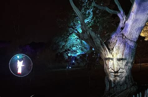 Windsor Great Park Illuminated 2023 - LCI Productions