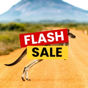 Upcoming Trips • One Love Travel Club