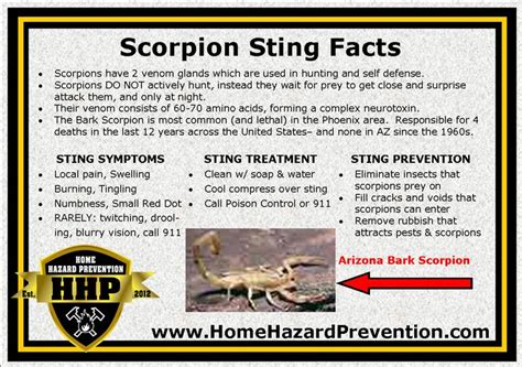 Basic scorpion sting facts and treatments | Sting, Pet safety, Facts