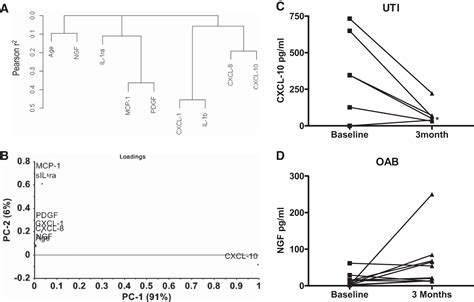 Elevated CXC Chemokines In Urine Noninvasively Discriminate OAB From