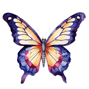 Watercolor Butterfly Pastel Watercolor Butterfly Insect PNG