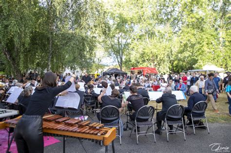 Apéro concerts gratuits en plein air pendant le festival Festival