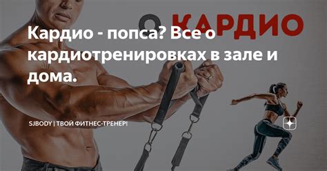 Кардио - попса? Все о кардиотренировках в зале и дома. | Sjbody | Твой ...
