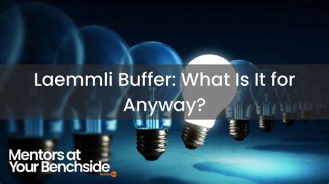 Laemmli Buffer: What Is It for Anyway? - Bitesize Bio