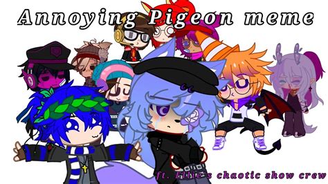 Annoying Pigeon Meme Ft Ellies Chaotic Show Crew Youtube