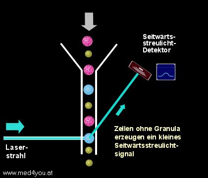 Durchflusszytometrie