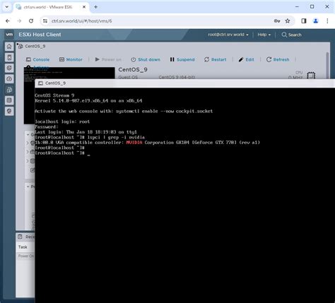 VMware ESXi 8 GPU Passthrough Server World