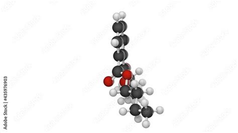 Molecular Structure Of Dibutyl Phthalate Other Names Dbp Butyl