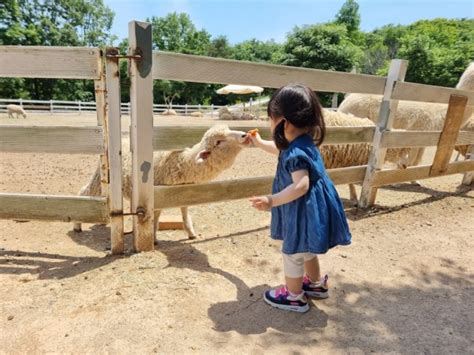 아이와 놀러 가기 좋은 곳 울산 언양 포니랜드 네이버 블로그