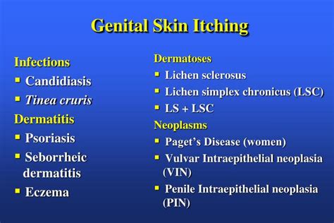 PPT - Genital Dermatology PowerPoint Presentation - ID:3318559