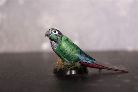 I painted my little Bandit as a mini, now to send her into battle. : r ...