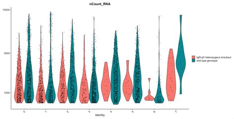 Hands On Filter Plot And Explore Single Cell Rna Seq Data With