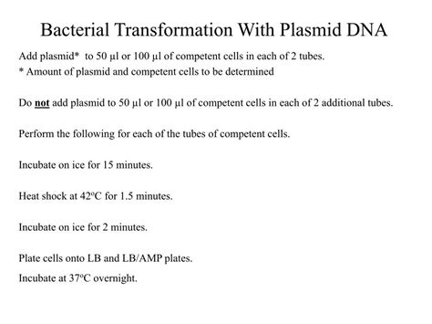 PPT - Bacterial Transformation With Plasmid DNA PowerPoint Presentation ...