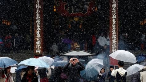 Tokyo sees first snowfall in November in 54 years - IBTimes India