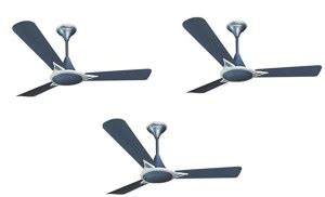 Crompton Avancer Prime Anti Dust Pack Of 3 1200 Mm 3 Blade Ceiling Fan