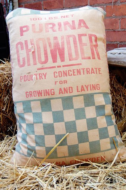 Vintage Feed Sack.Accessorizing The Coop - The Art of Doing Stuff