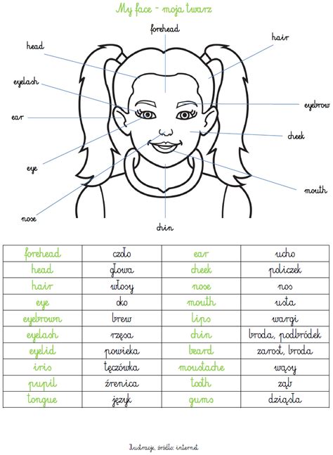 Blog Edukacyjny Dla Dzieci J Zyk Angielski Moja Twarz Moje Cia O