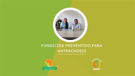 Fungicida Preventivo Para Antracnosis Youtube