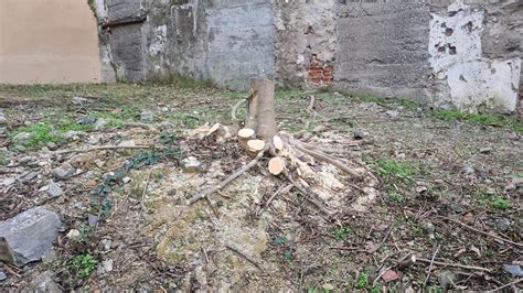 Centro Storico Di Genova La Protesta Dei Residenti Hanno Tagliato L