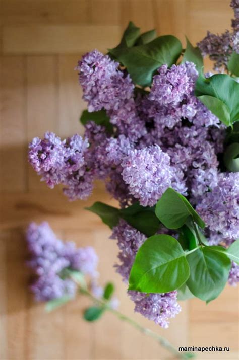 Ореховый кекс • домашний рецепт. С фото!