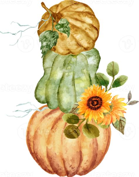 Watercolor Pumpkin With Sunflower 12997031 Png